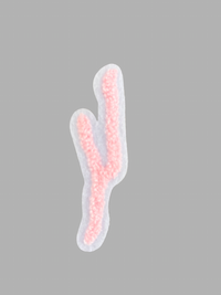 Keuka Lake Iron-on patch