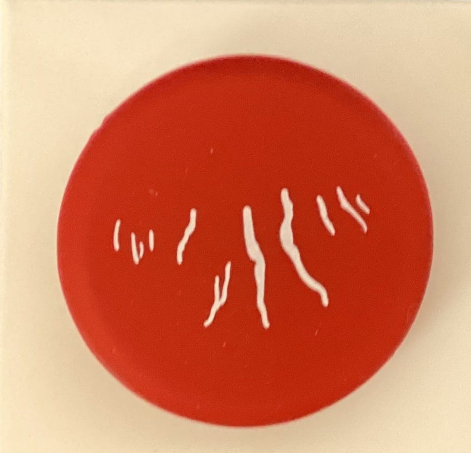 Finger Lakes Capabunga Wine Caps