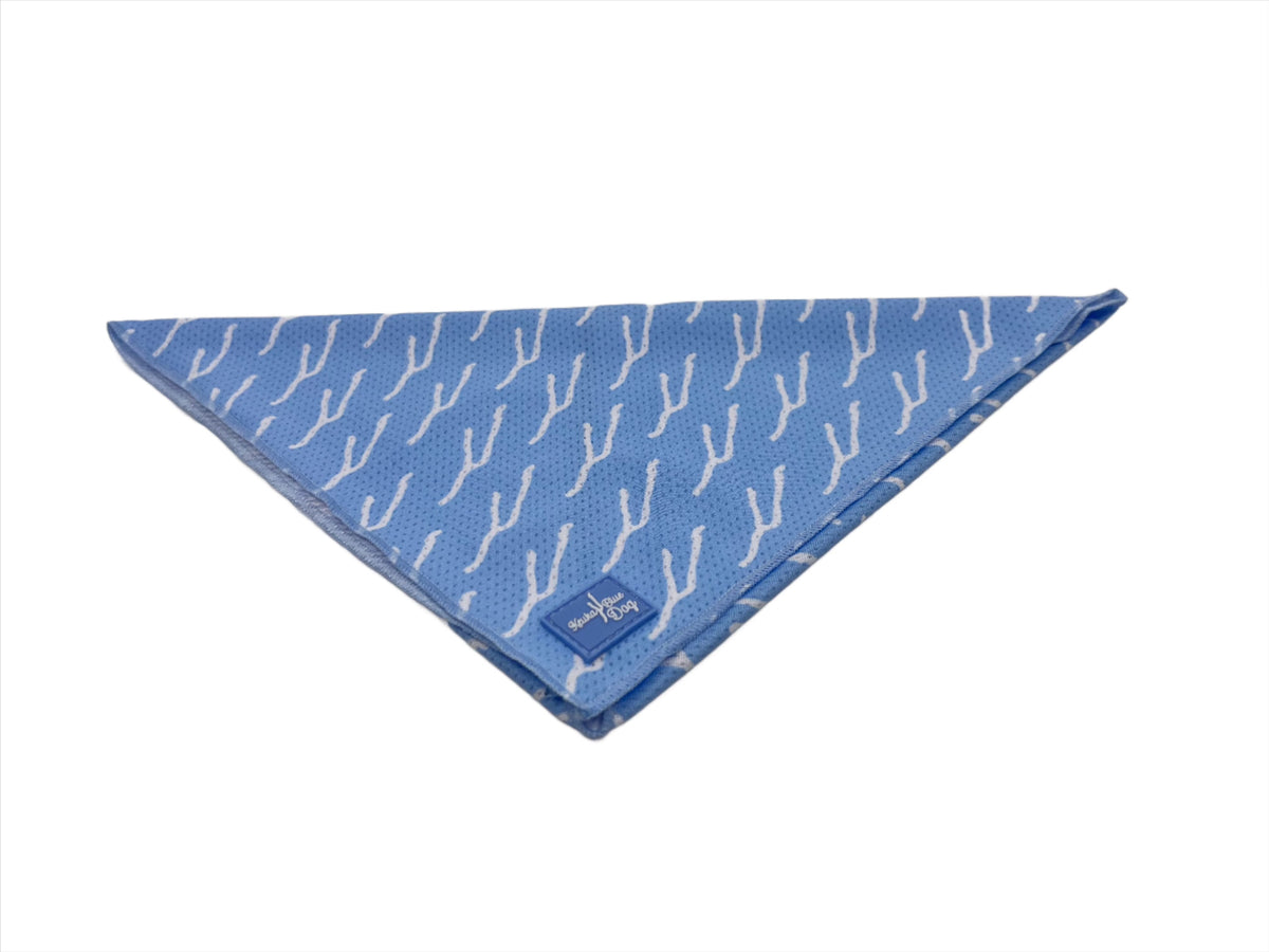 Keuka Blue Dog Bandana