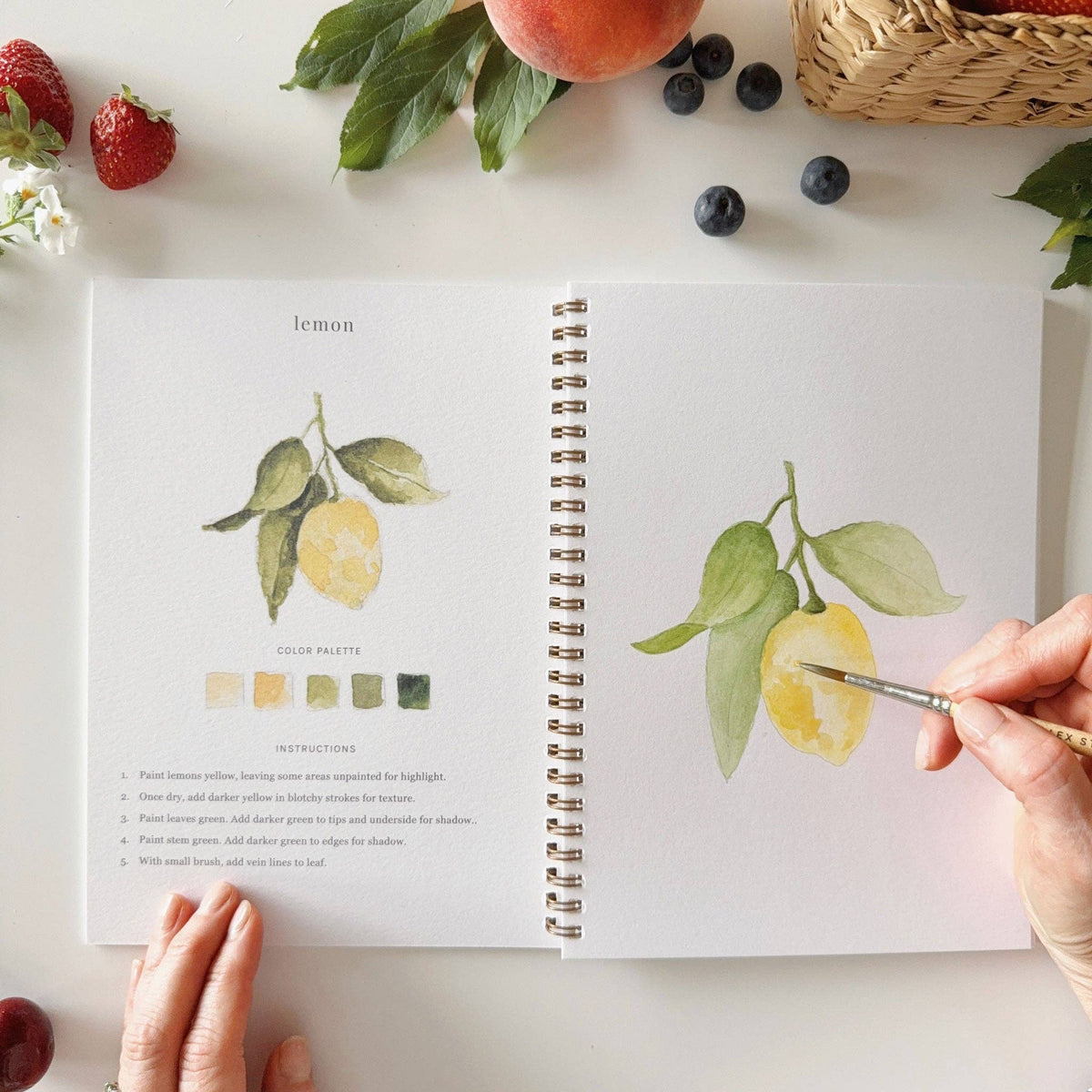 Fruit watercolor workbook