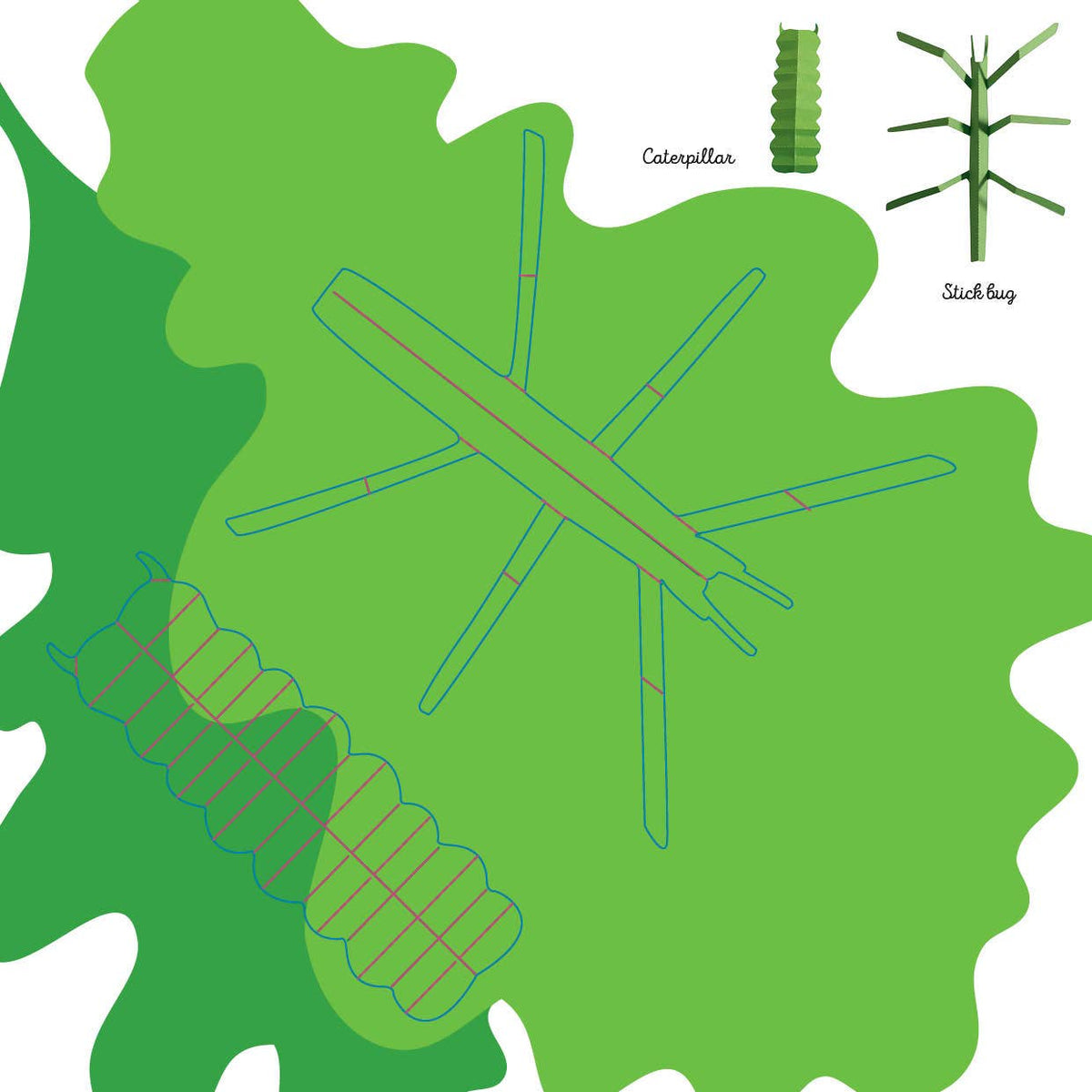 Insects: Fold & Play