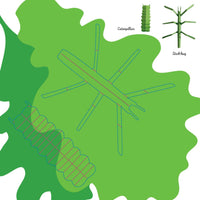 Insects: Fold & Play