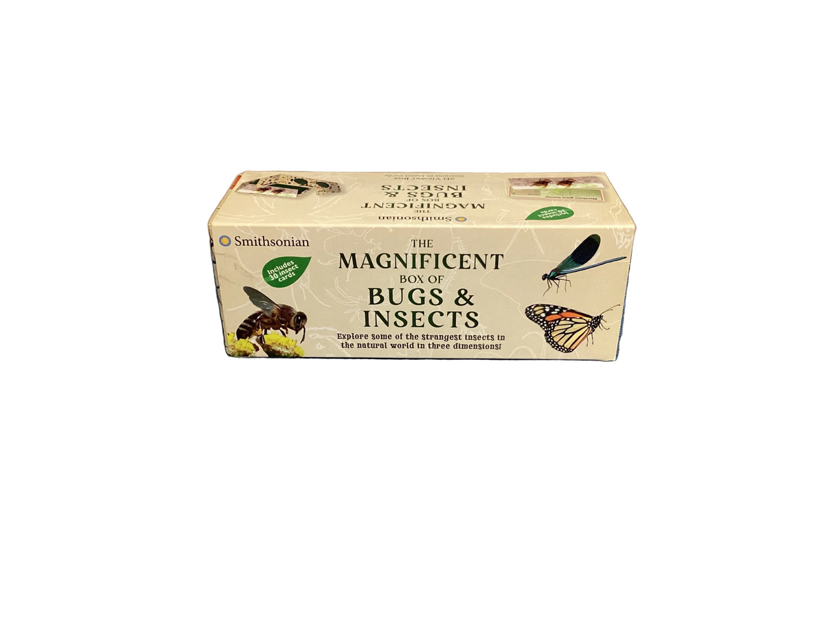 The Magnificent Box of Bugs and Insects