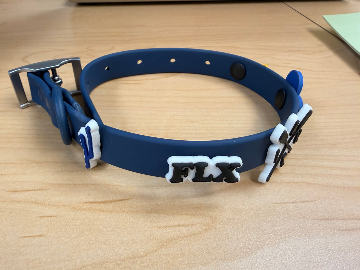 Dog Collars with Shoe Charm Holes