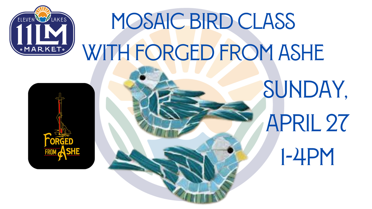 Mosaic Bird Class