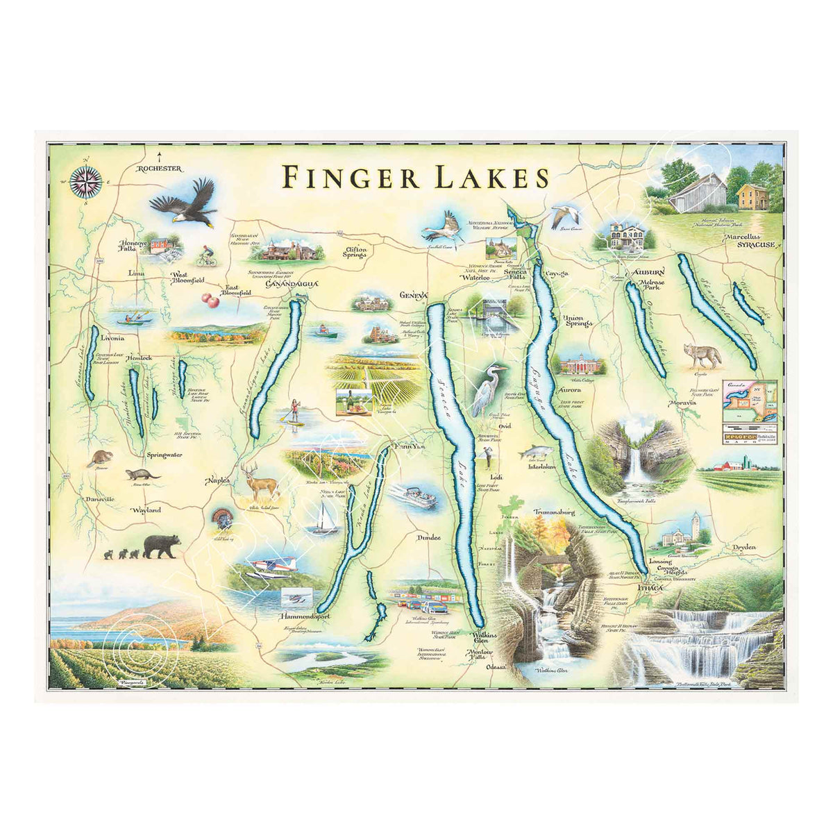 New York's Finger Lakes Map Magnet