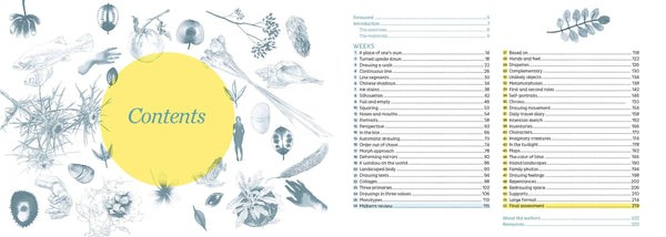 The Little Drawing Workshop